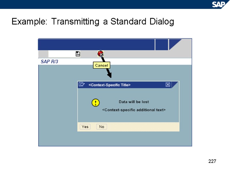 227 Example: Transmitting a Standard Dialog